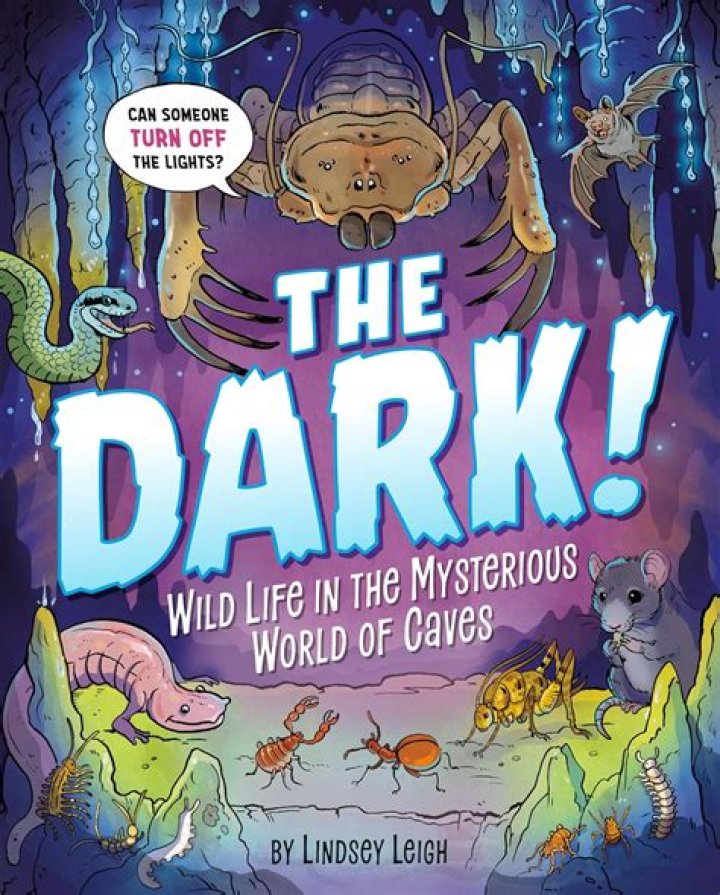 The Mysterious World Of Thethreedust