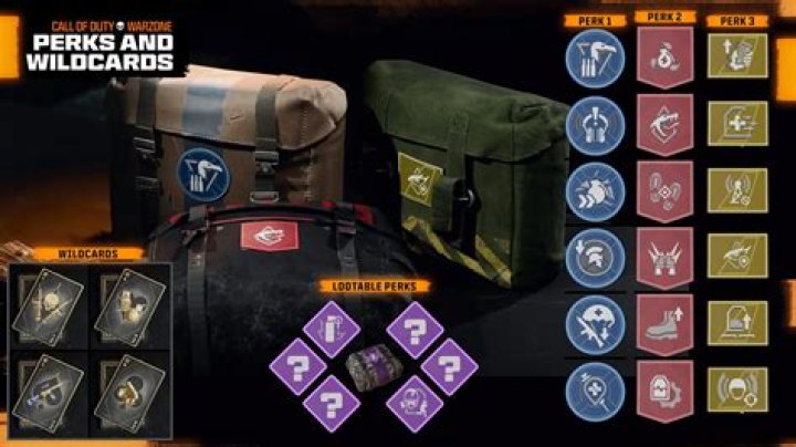 Unlocking Victory: The Best Warzone Perk Package